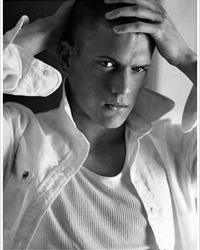 Wentworth Miller a marturisit ca este homosexual
