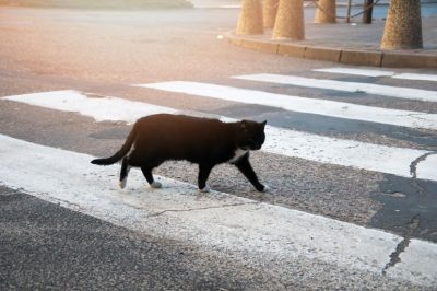 Superstitii romanesti. Da sau ba