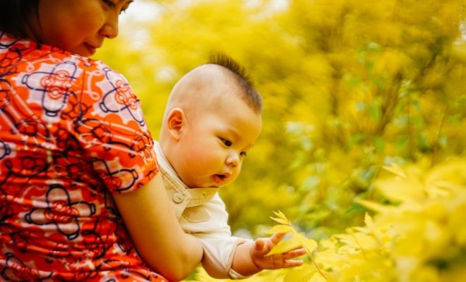 Guvernul din Singapore va plăti oamenii să conceapă copii în timpul pandemiei