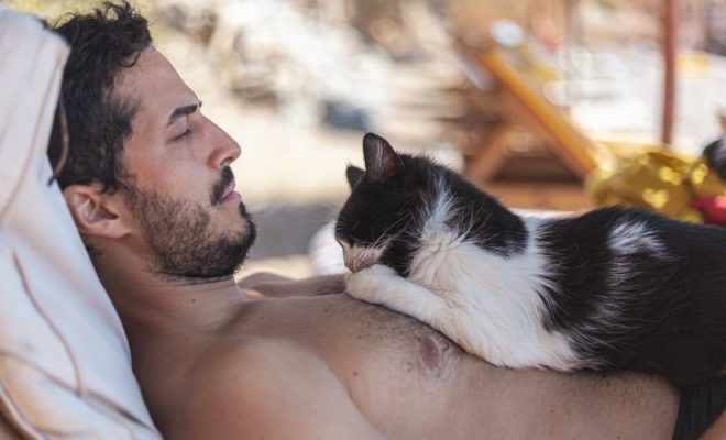 Bărbații care își pun poze cu pisici pe profilul de dating sunt percepuți ca fiind mai puțin masculini și nevrotici